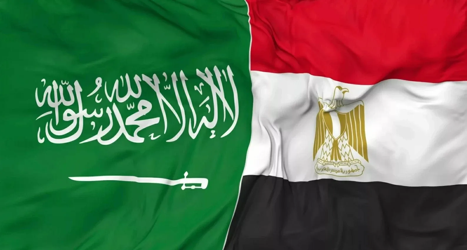 التبادل التجاري بين السعودية ومصر يسجل 82.2 مليار دولار خلال 5 أعوام